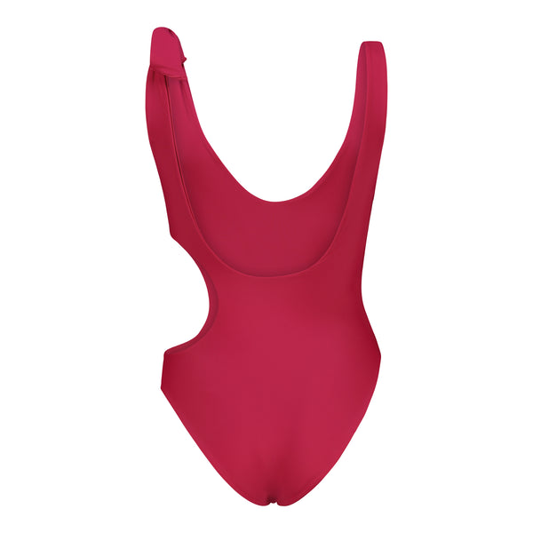 Aqua Plain Pink Bina Swimsuit